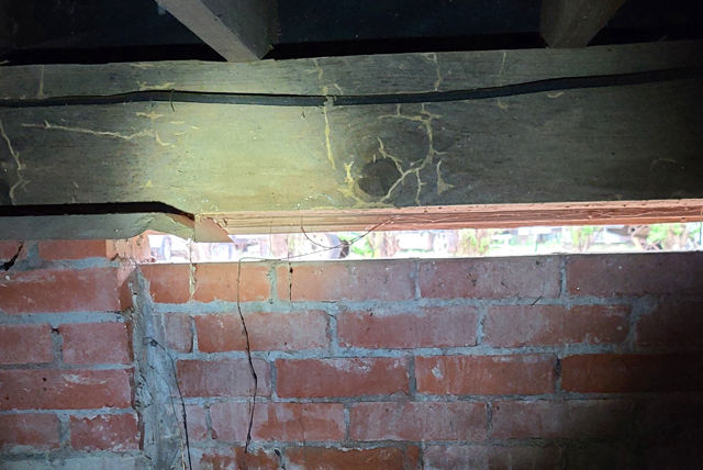 Twin City Exterminating Termite Damage