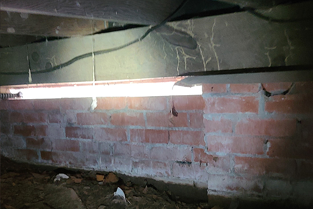 Twin City Exterminating Termite Damage