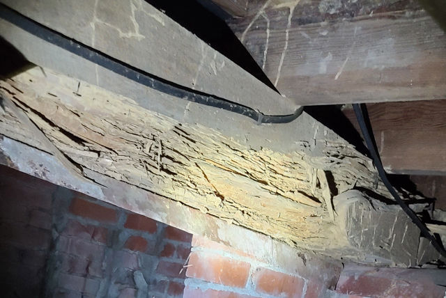 Twin City Exterminating Termite Damage