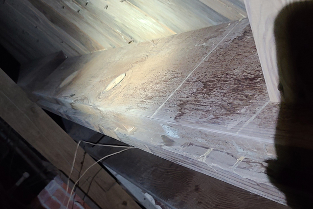 Twin City Exterminating Termite Damage